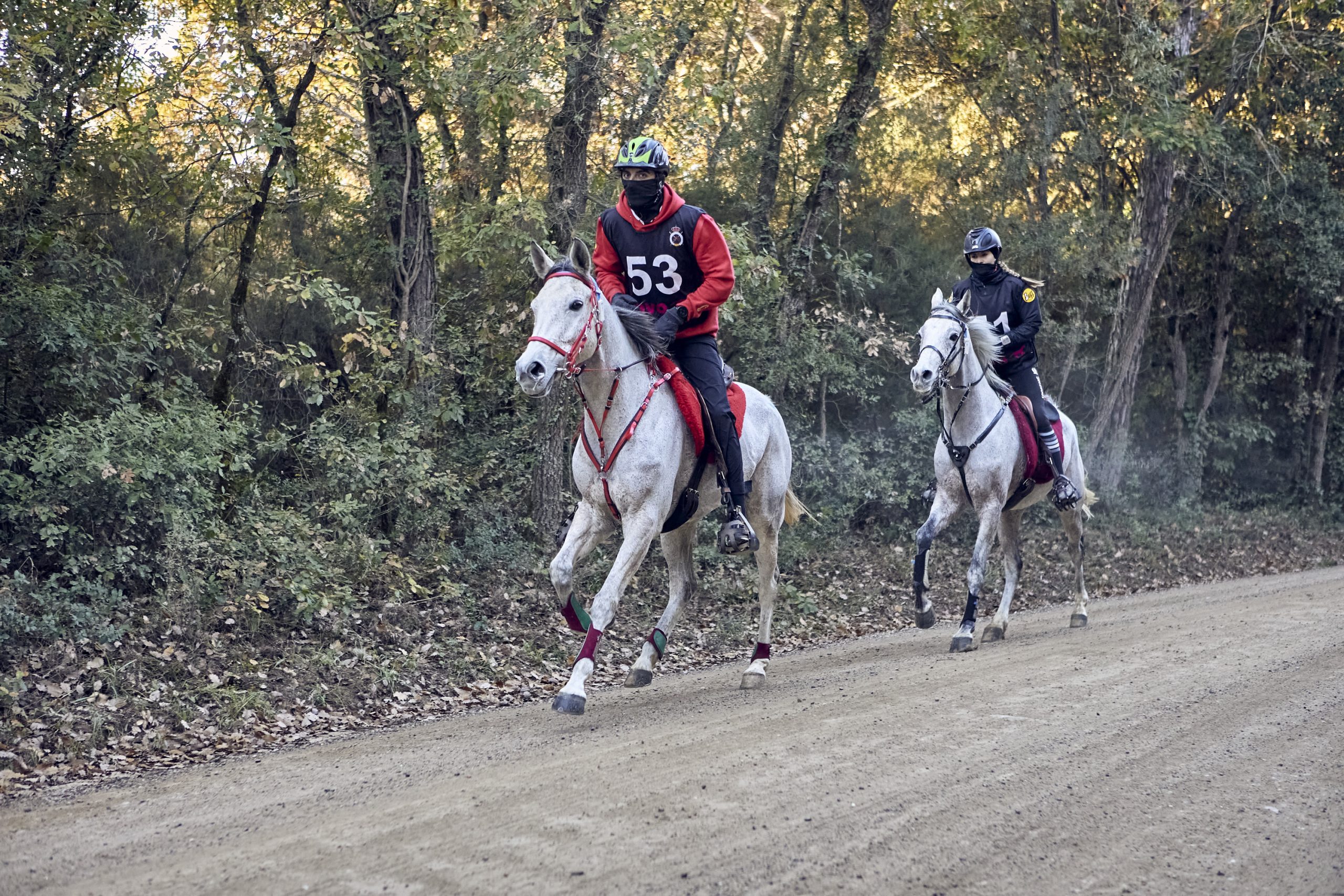 Raid Hípic Internacional Barcelona